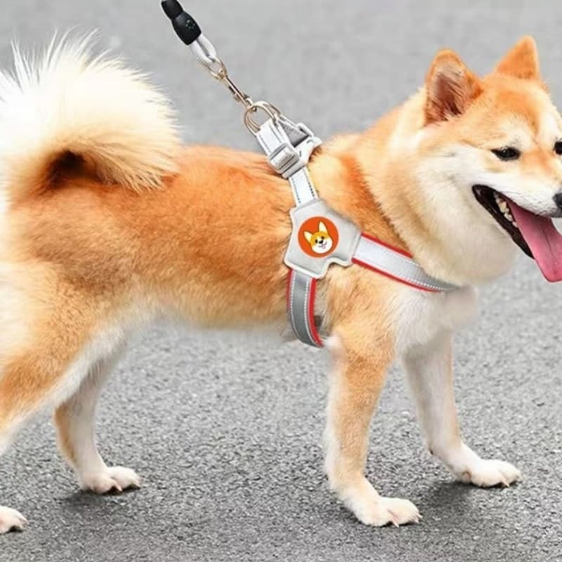 Breathable Dog Harness And Leash