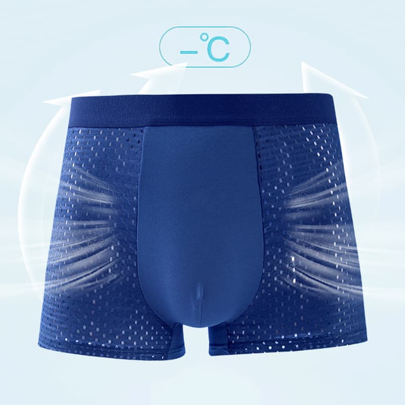 Men S Ice Silk Mesh Boxer Briefs Breathable Ventilated Micro Mesh Underwear Lightweight Cooling Summer Trunks For Men