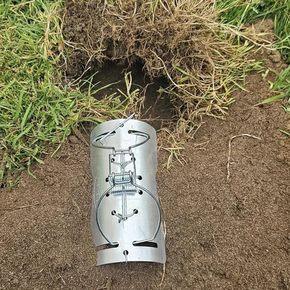 Pack Of 5 Tunnel Mole Trap Quick Kill Control Repellent Mole Traps