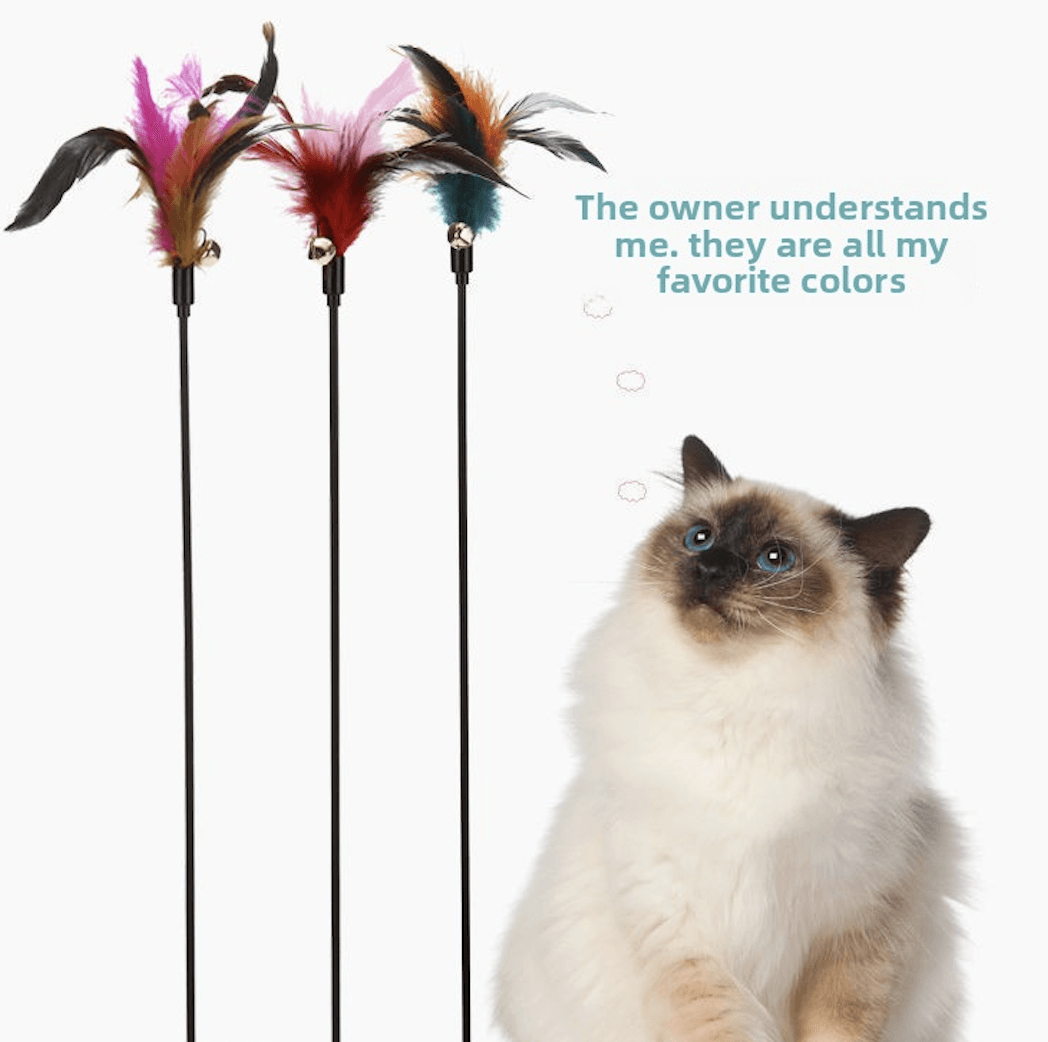 Colorful Feather Cat Wand, Teaser With Bell, Cat Toy, Pet Supplie
