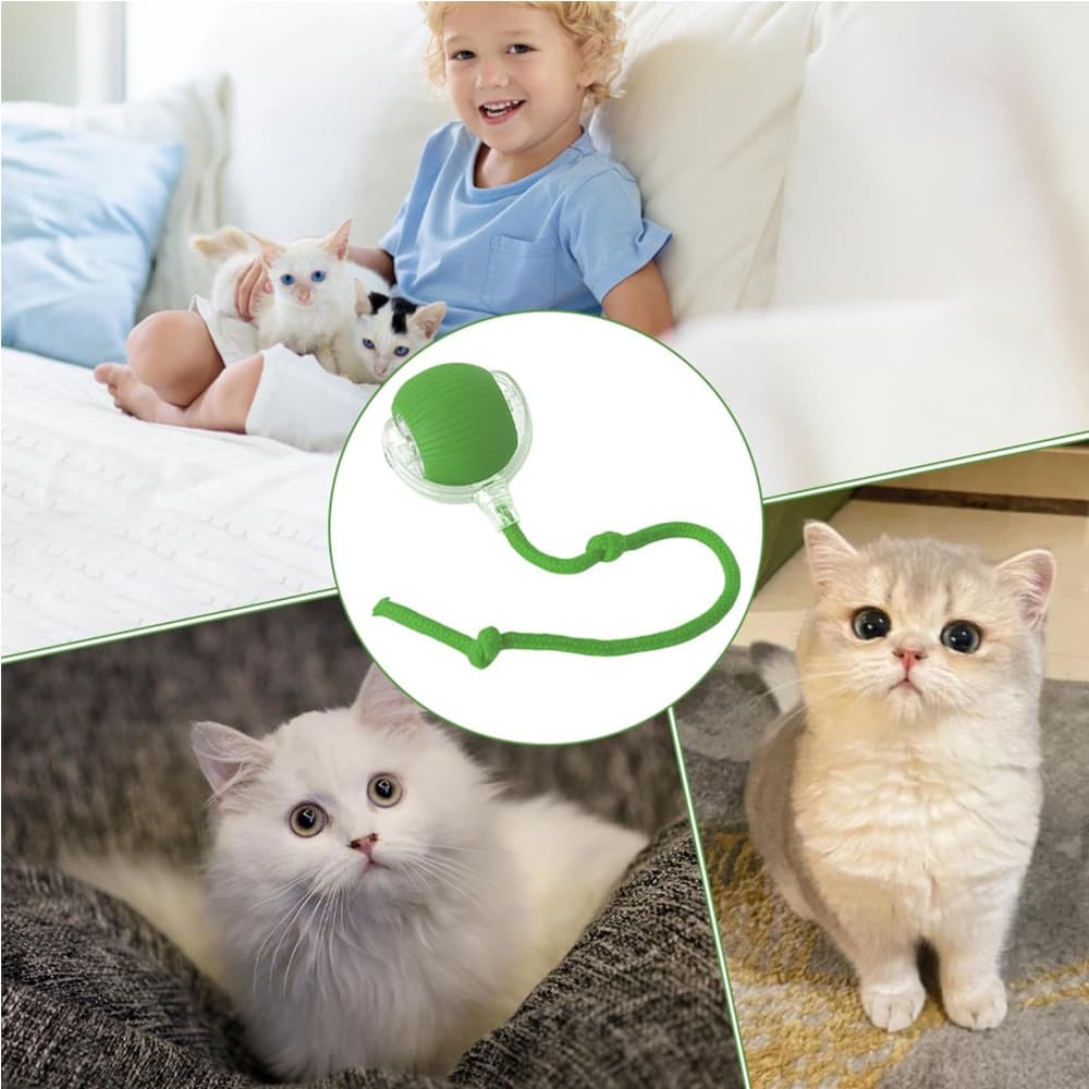 Electric Dog Cat Ball Toy,Indoor Large And Small Cat Dog Interactive Intelligent Rolling Pet Ball