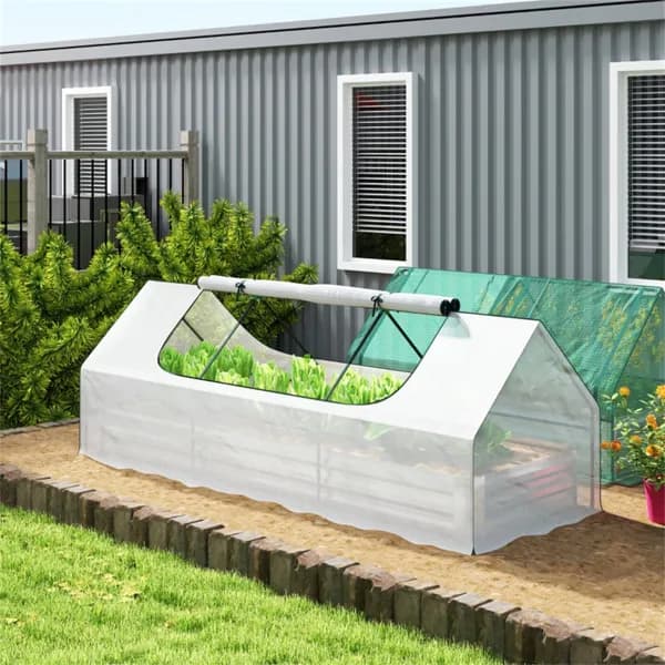 Mini Greenhouse