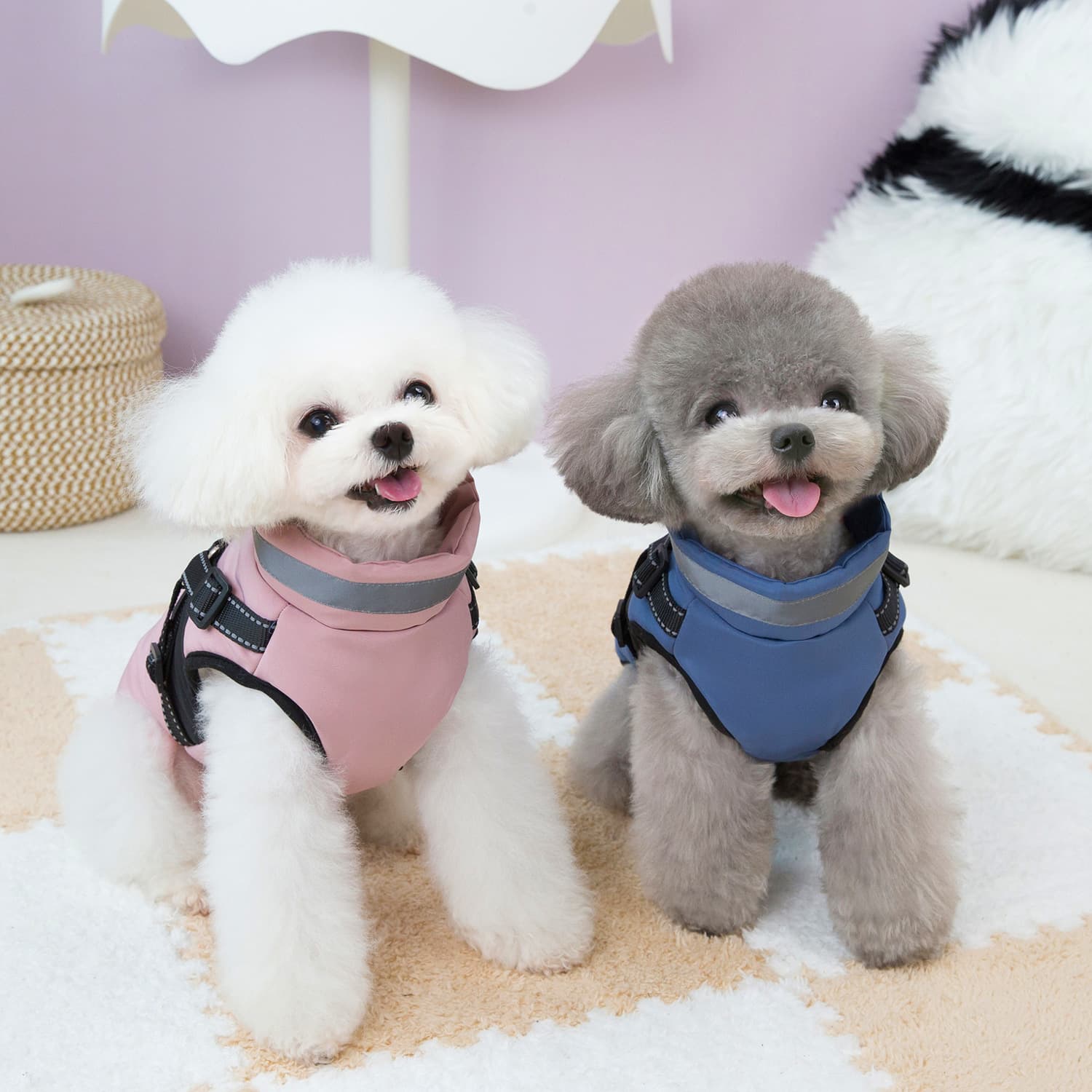 Thickened Dog Clothes For Fall And Winter