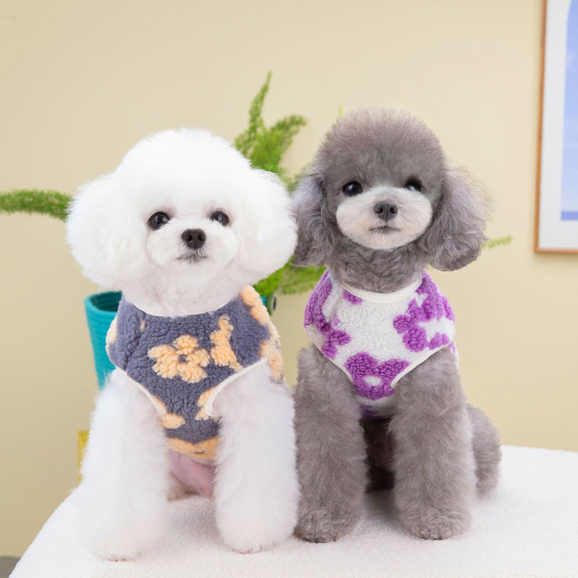 Cat Pet Clothing Winter Five-Petal Flower Velvet Coat