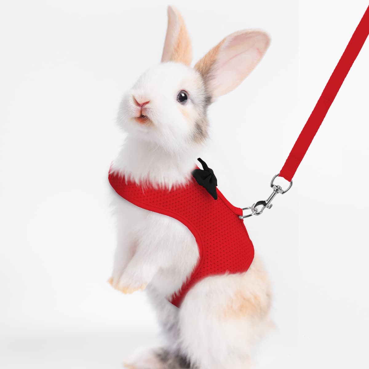 Small Pet Vest Harness and Leash Set - Adjustable Breathable Rabbit Guinea Pig Walking Gear for Safe Outdoor Control
