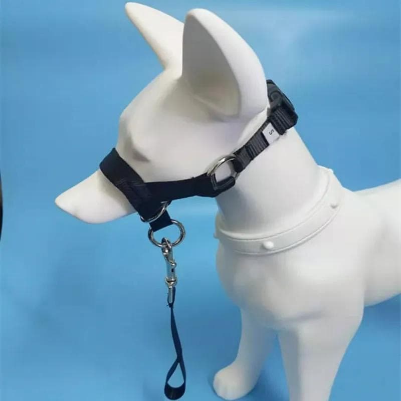 Short-handled Leash For Walking Dogs