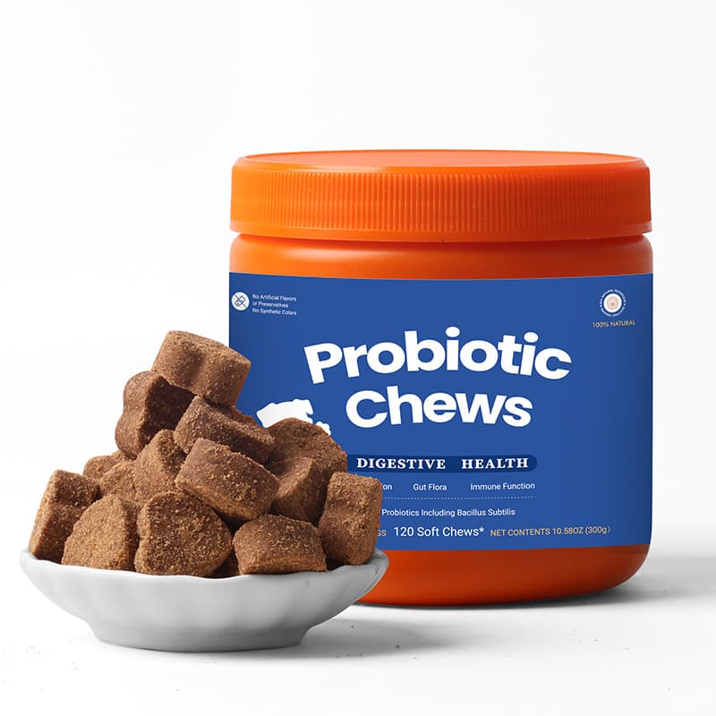 Probiotic Chewable Tablets For Cats And Dogs Supporting Gut Health