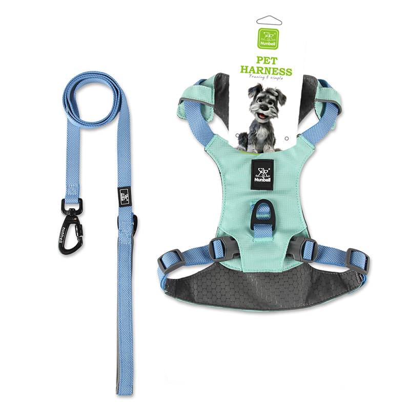 Dog Leash Set Designed To Prevent Pulling Suitable For Small Medium And Large Dogs