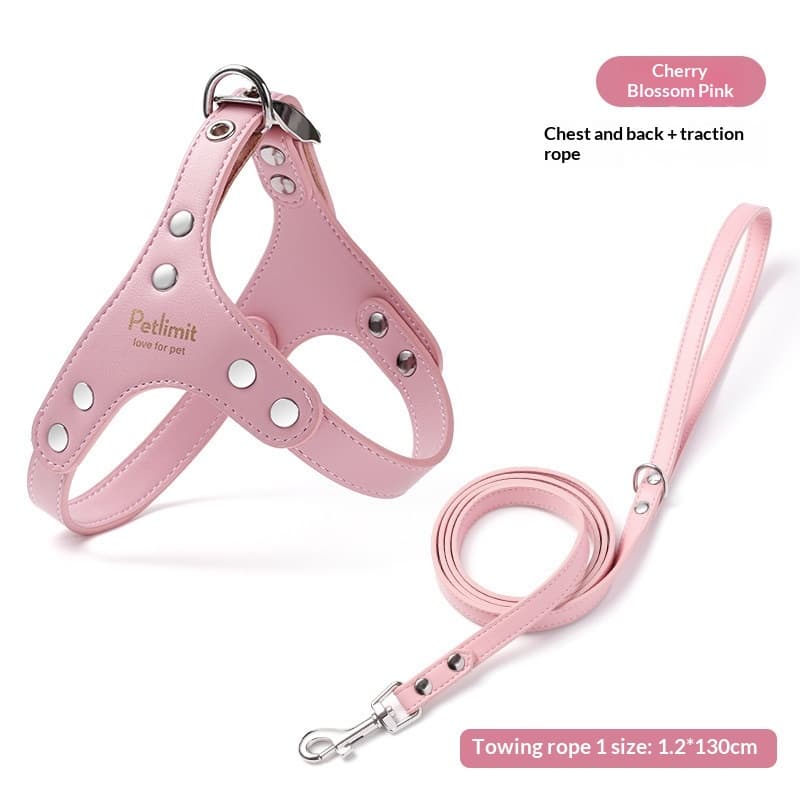 Puppy Leash And Leather Chest Harness For Small Dogs