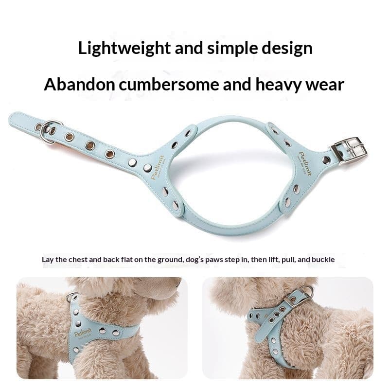 Puppy Leash And Leather Chest Harness For Small Dogs
