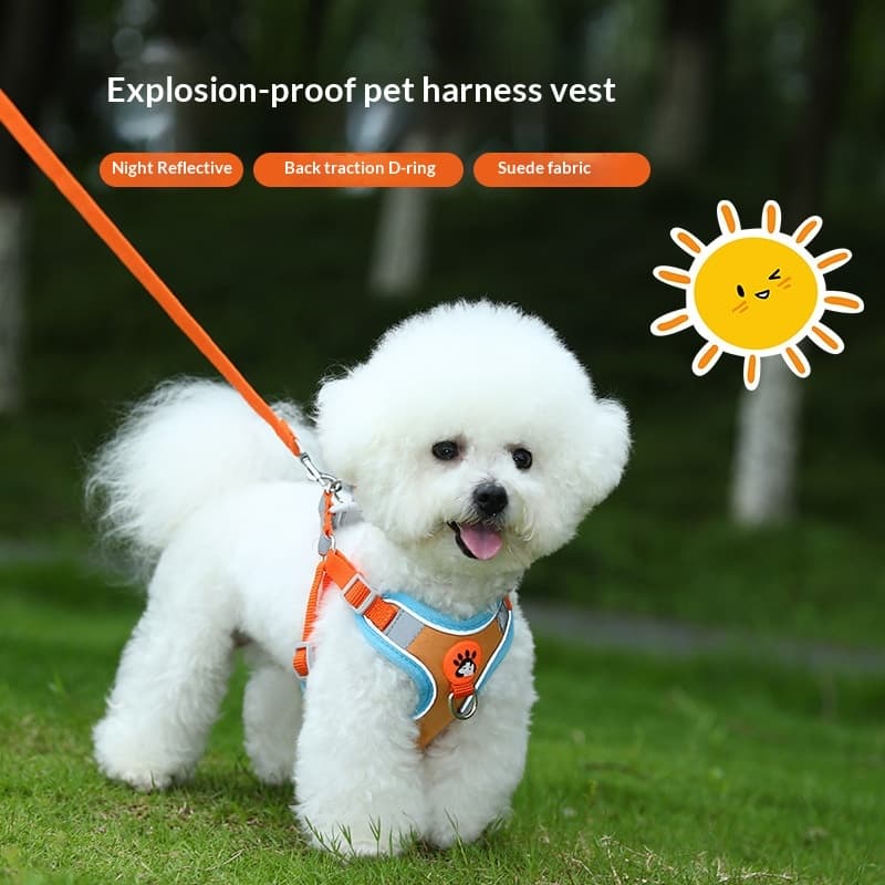 Dedicated Breathable High-leg Bichon Frise Harness And Leash