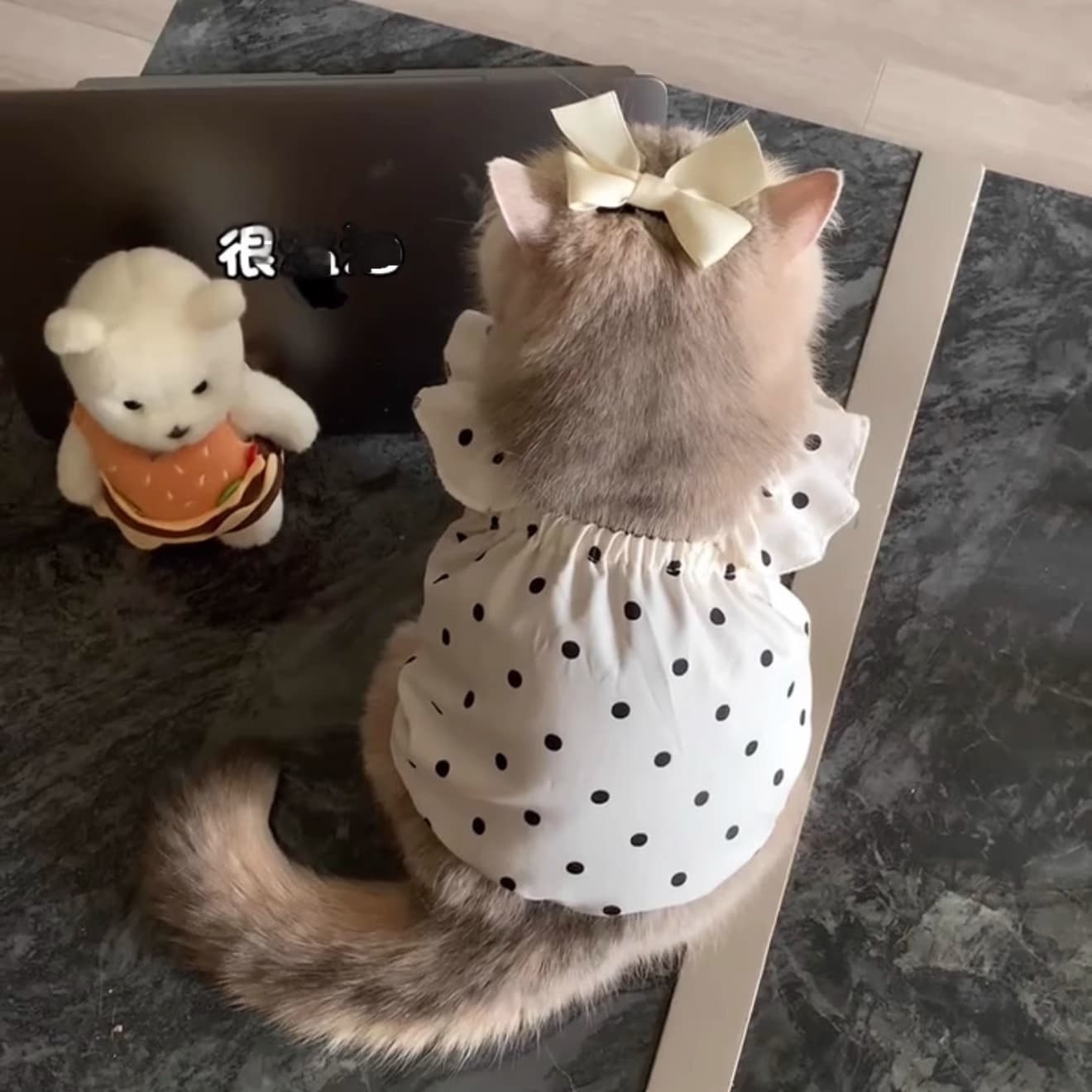Pet Thin Breathable Sun-protective Dress