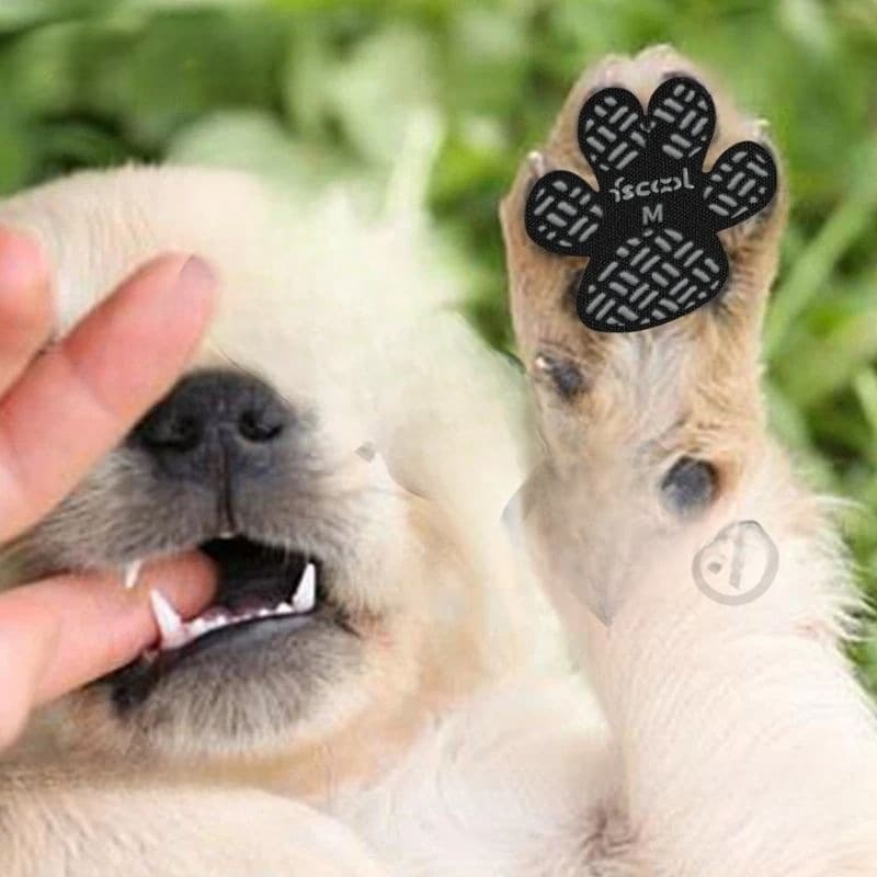 4-Pack Dog Anti-Slip Paw Grips Traction Pads Dog Paw Protector