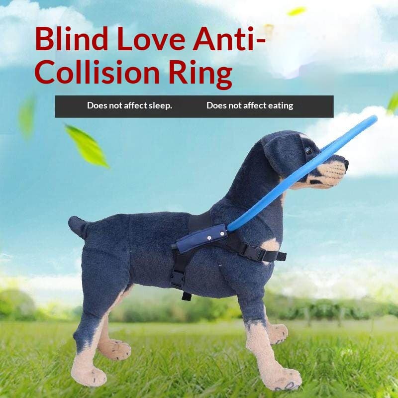 Head-Protection Ring For Blind Pets To Prevent Head And Eye Injuries