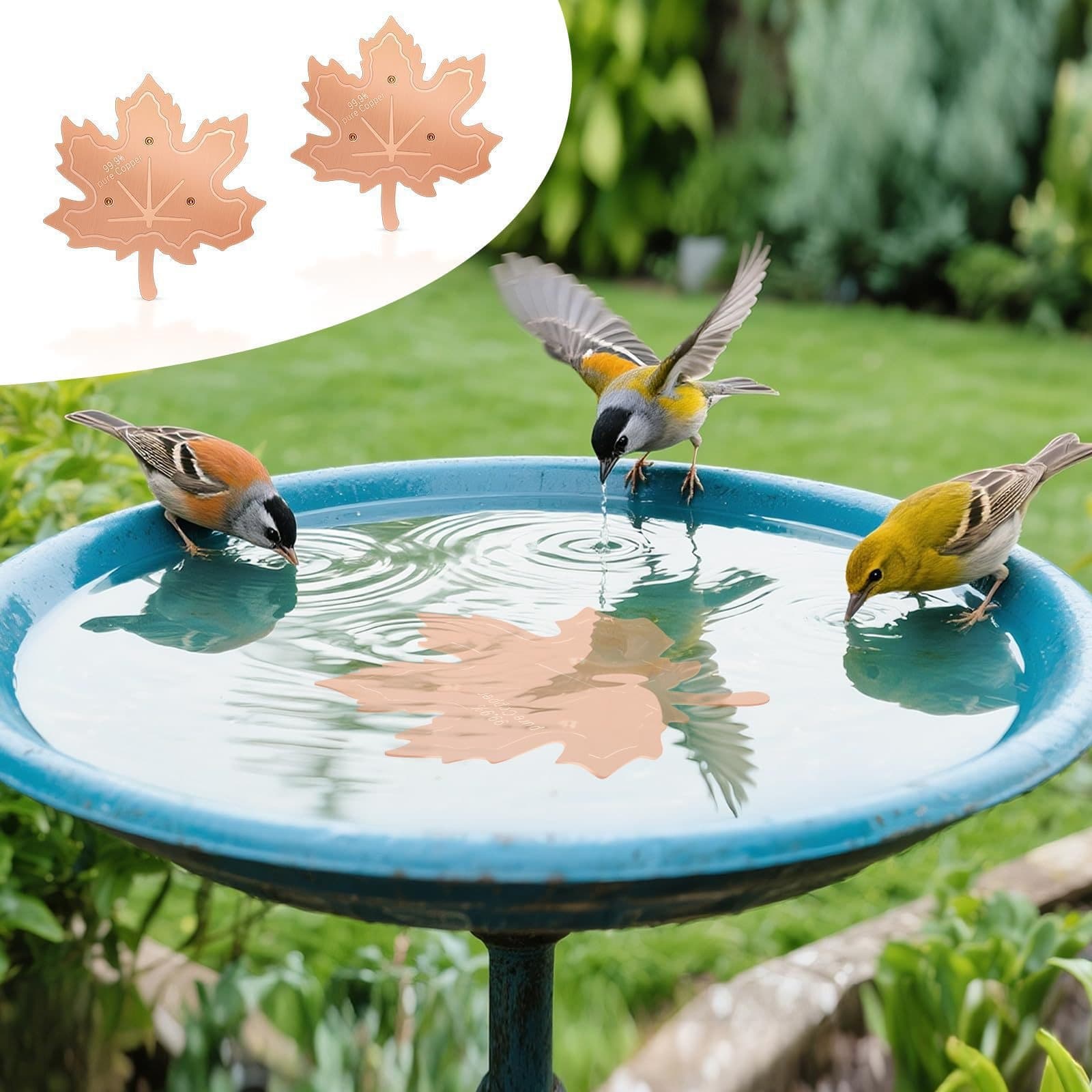Maple-leaf-shaped Bird Bath Purification Tray