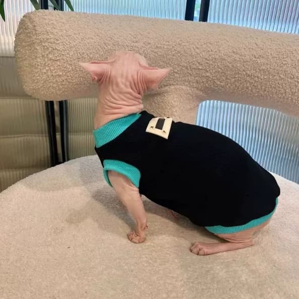 Sphynx Cat Black T-shirt Blue Trim Cotton Sleeveless Spring Summer Clothes for Hairless Cats