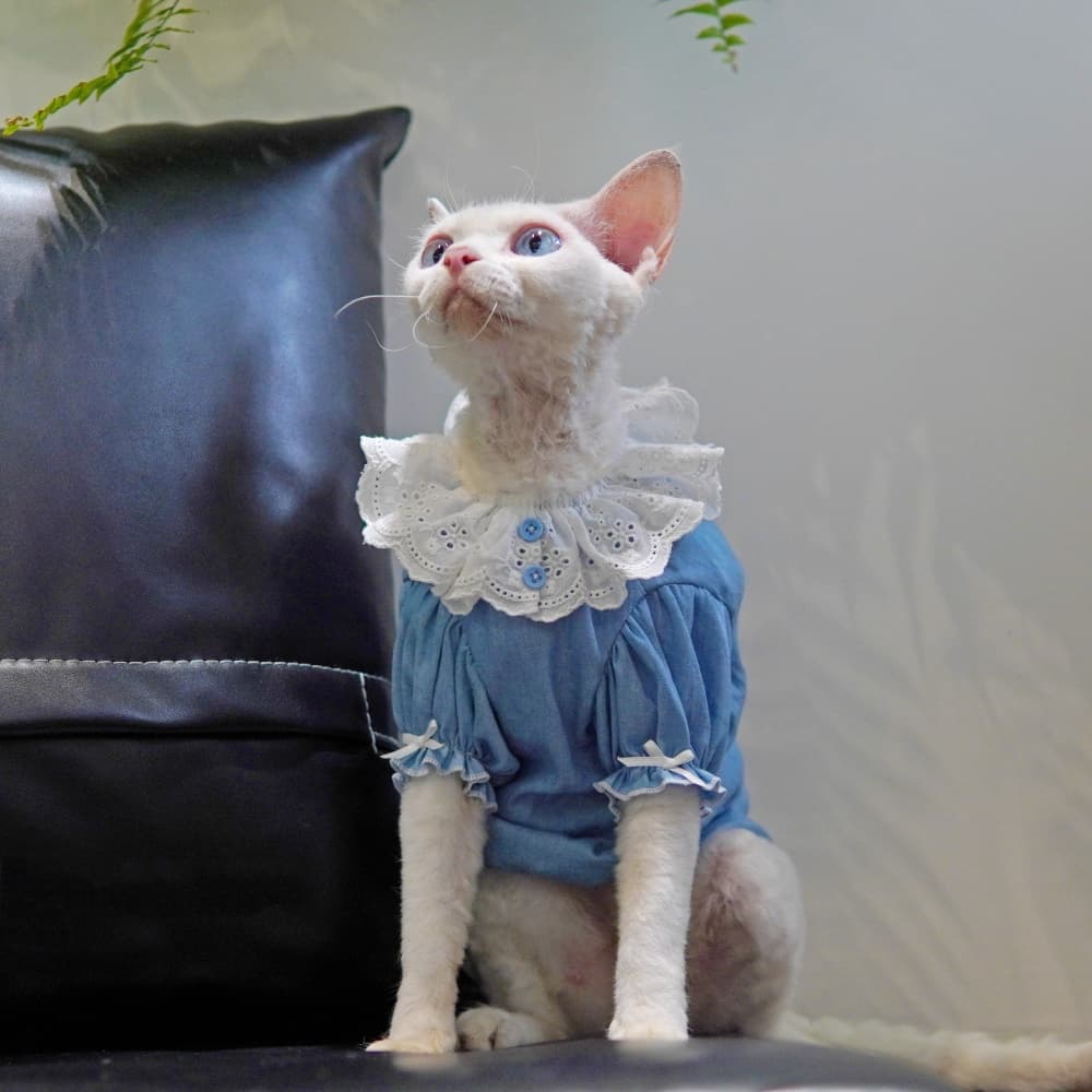 Sphynx Cat Summer Blue Dress With Lace Collar Lightweight Skin-Friendly Apparel For Hairless Cats And Devon Rex
