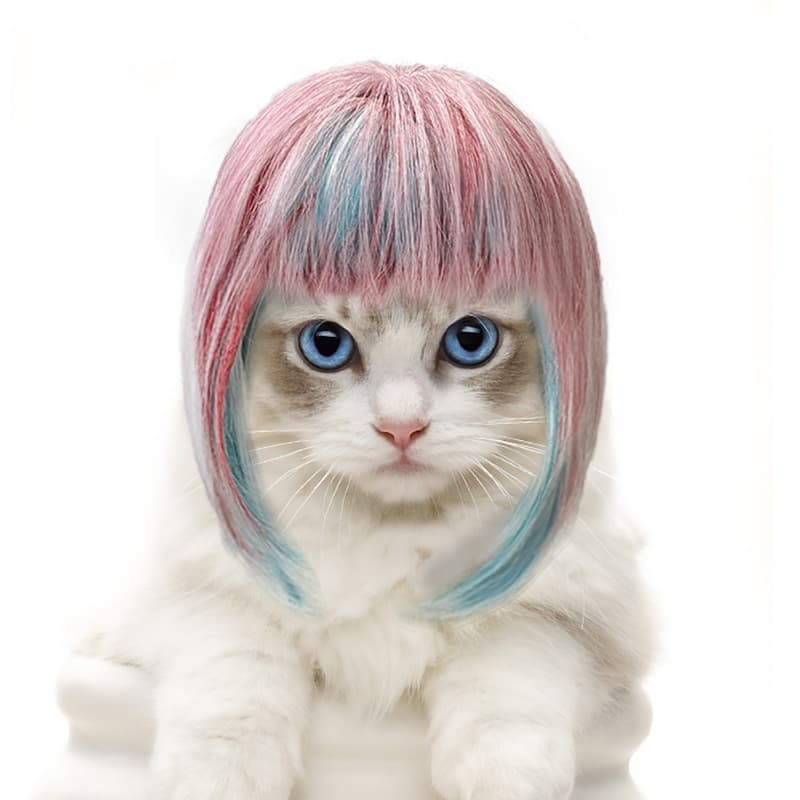 Vibrant Multicolor Long-hair Party Costume Dreamy Styling