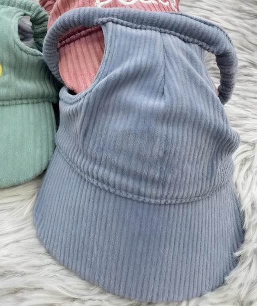 Customized Dog Baseball Cap Leaky Ear Pet Cap Duckbill Cap