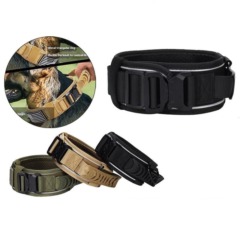 Reflective Nylon Dog Collar And Outdoor Pet Leash