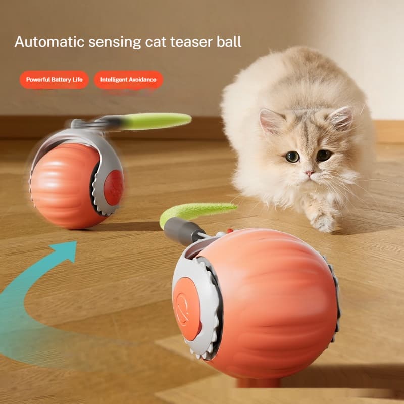 Automatic Cat Toy Ball With Pet Supplies