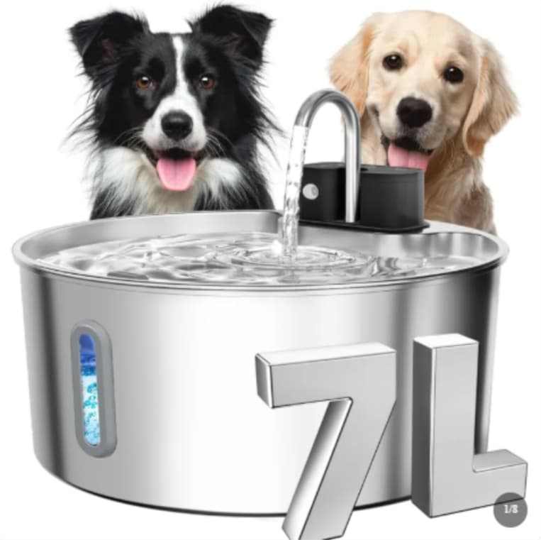Pet Stainless Steel Water Dispenser