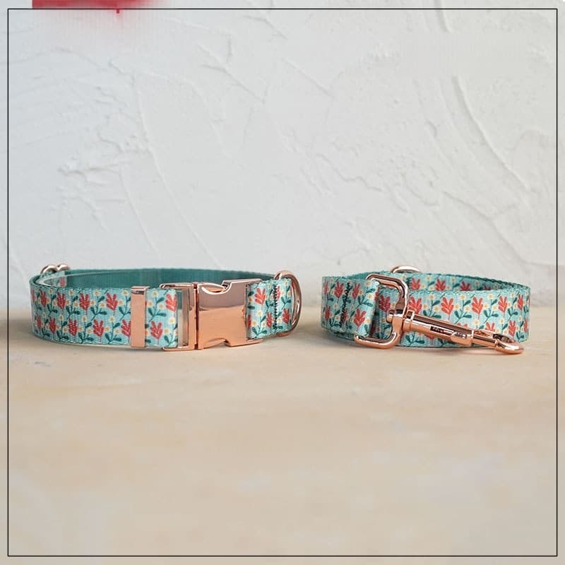 Soft And Comfortable Pet Dog Collar Leash Set
