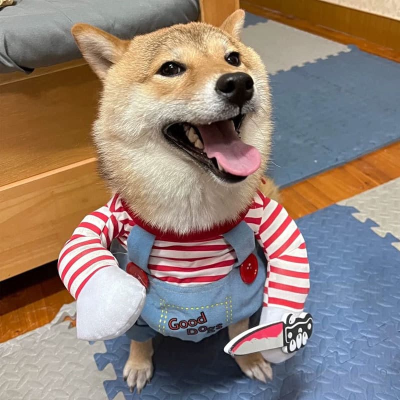 Halloween Fatal Doll Dog Costume Outfit