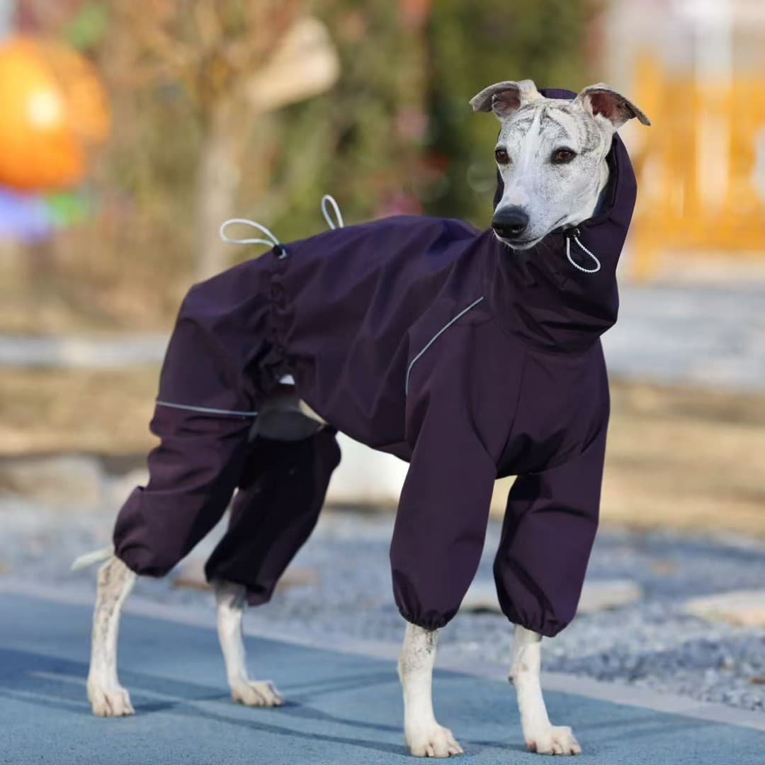 Stain-resistant Thin-style Raincoat For Large Dogs