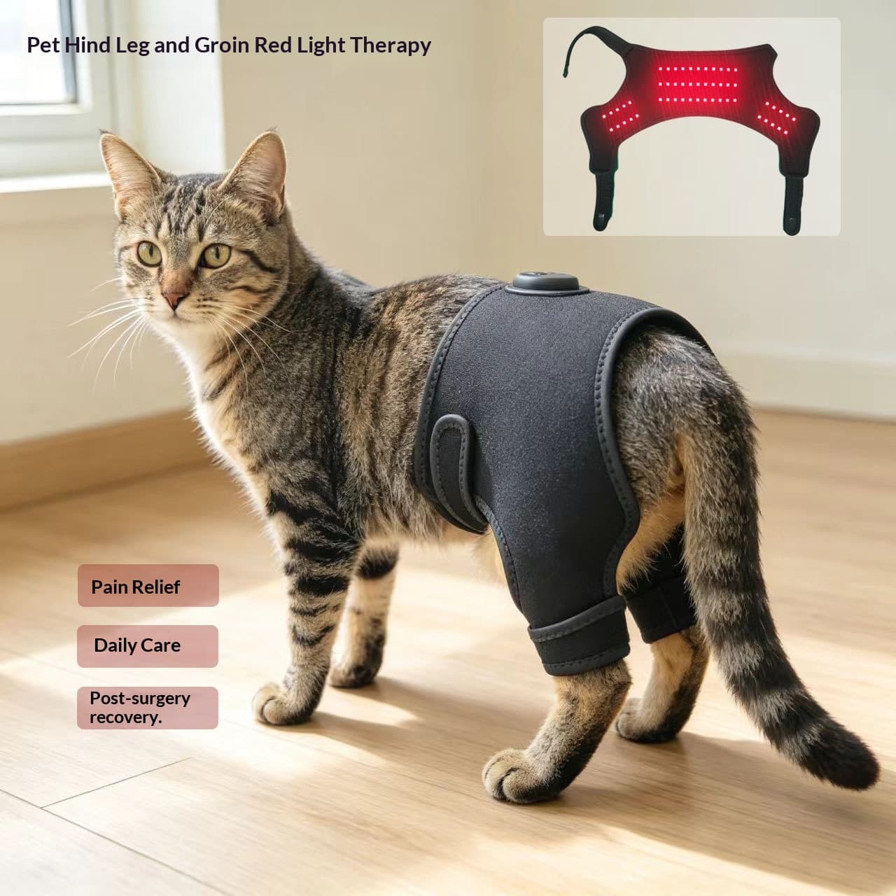 Red Light Physical Therapy Belt Pet Hind Crotch