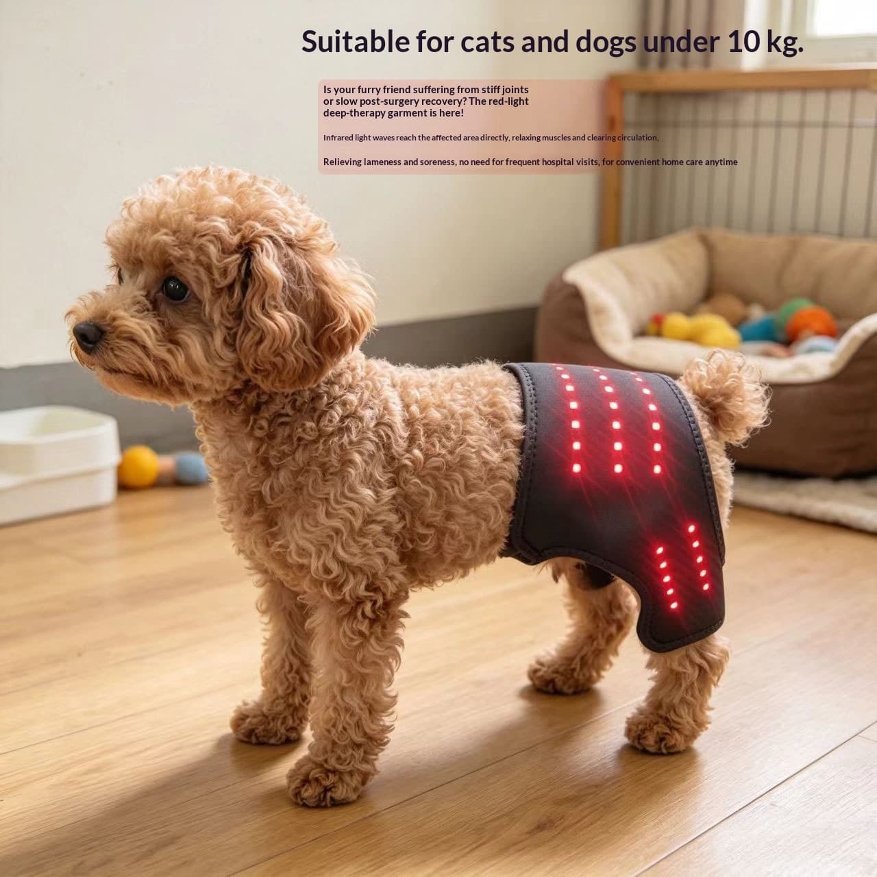 Red Light Physical Therapy Belt Pet Hind Crotch